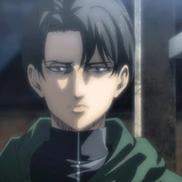Levi