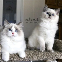 Raya & Aisha