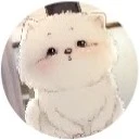 Shiro