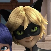 Chat noir