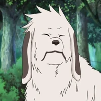 Akamaru