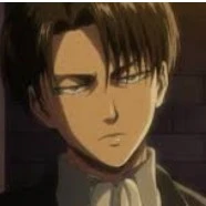 levi