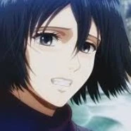 mikasa
