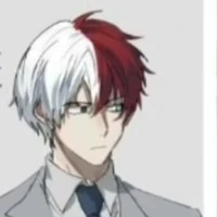 Shoto Todoroki