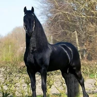 Zeus