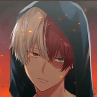 Todoroki (souttchan)