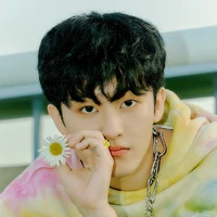 Lee Mark