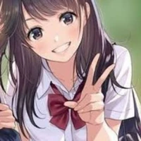 y/n