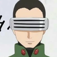 shino aburame