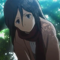 Kid mikasa