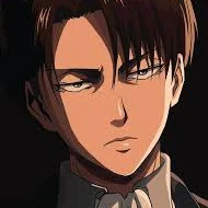 levi