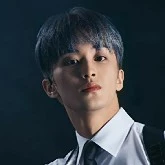 jung mark