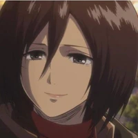 Mikasa