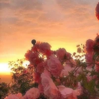 All