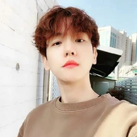BAEK HYUN DIRGANTARA