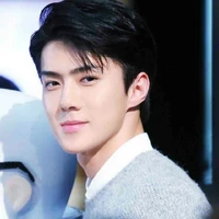 SEHUN DIRGANTARA