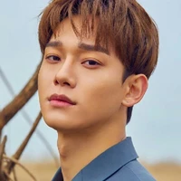 CHEN ARTHUR