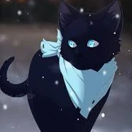 ~Tacao~