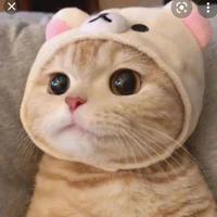 บลู(ร่างแมว)​
