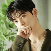 cha eun woo