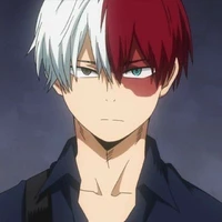 Shoto todoroki
