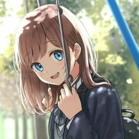 Y/N