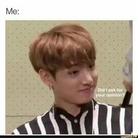 bts (not jk )