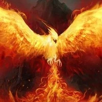 June / Phoenix / FL pet