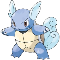 wartortle