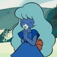 y/n