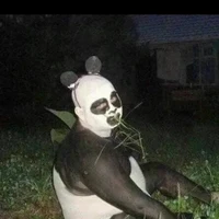 เเอด
