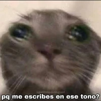 tú todo bacán