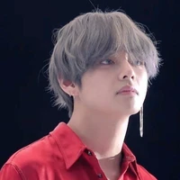 Kim taehyung/V