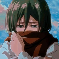 mikasa