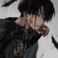 levi