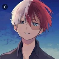 shoto todoroki