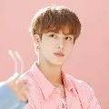 Kim Seokjin