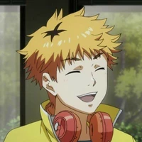 Hide