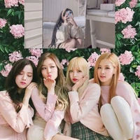 Blackpink and Y/N