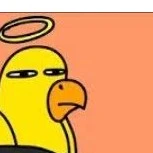 burung kuning