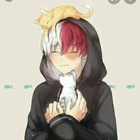 todoroki