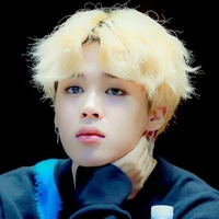 jimin/kitty gang