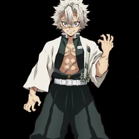 shinazugawa sanemi