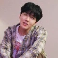 hobi