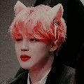 jimin na forma hibrida