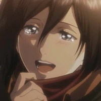 mikasa