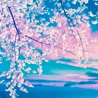 Sra.Han