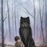 zayn (wolf)