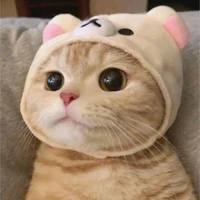 มิ้ว