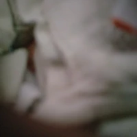 Unknown 3